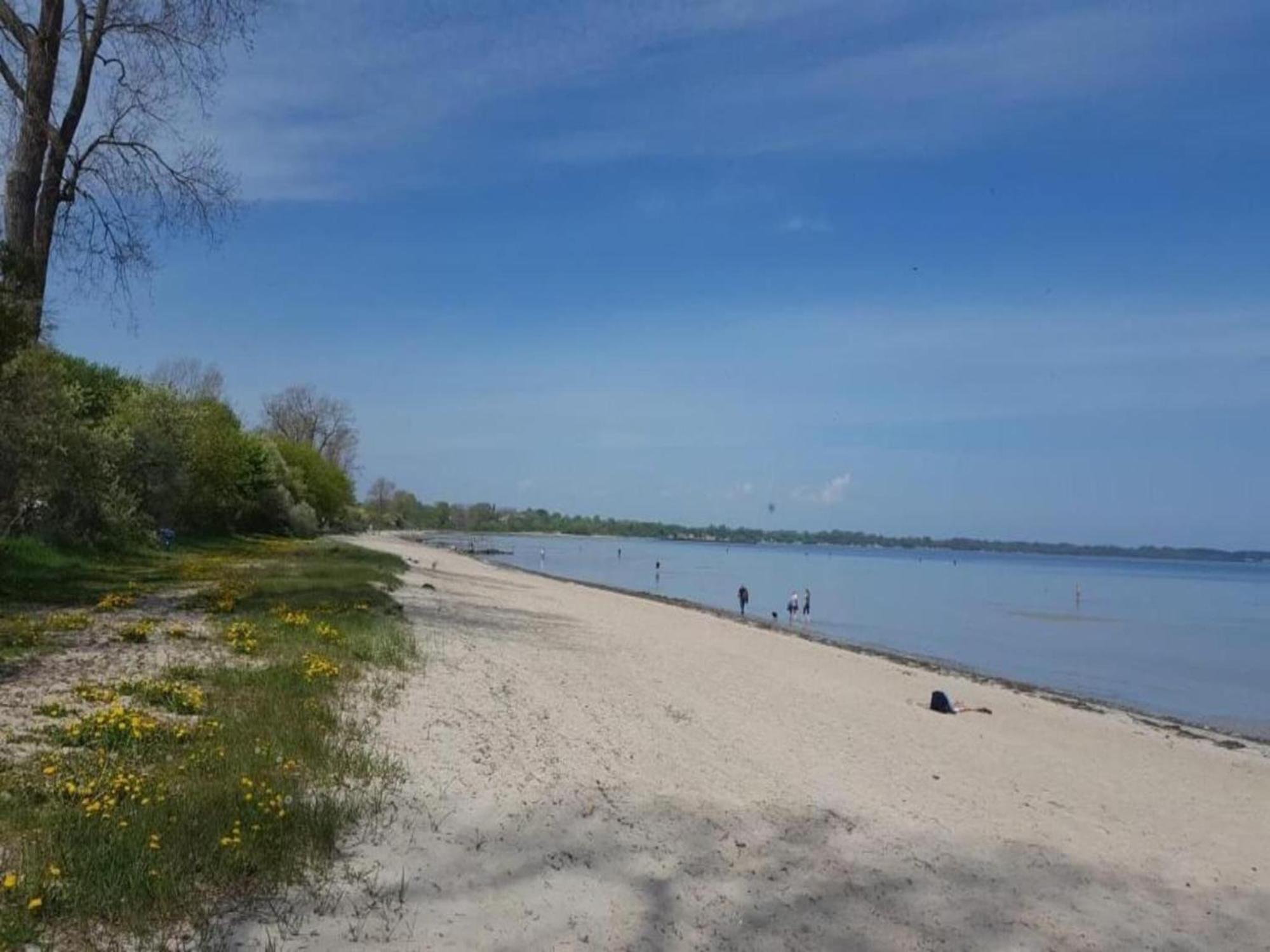 Strandhaus An Der Wohlenberger Wiek In Strandlage Hohenkirchen  Eksteriør billede